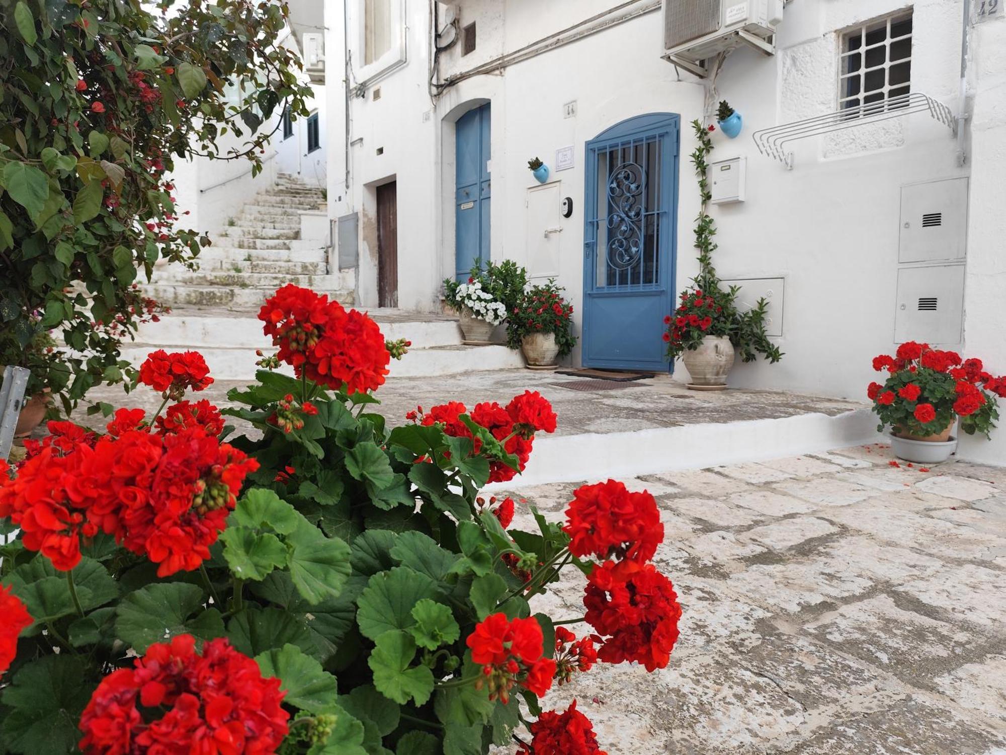 Casa Mirabilis 44 Villa Ostuni Bagian luar foto