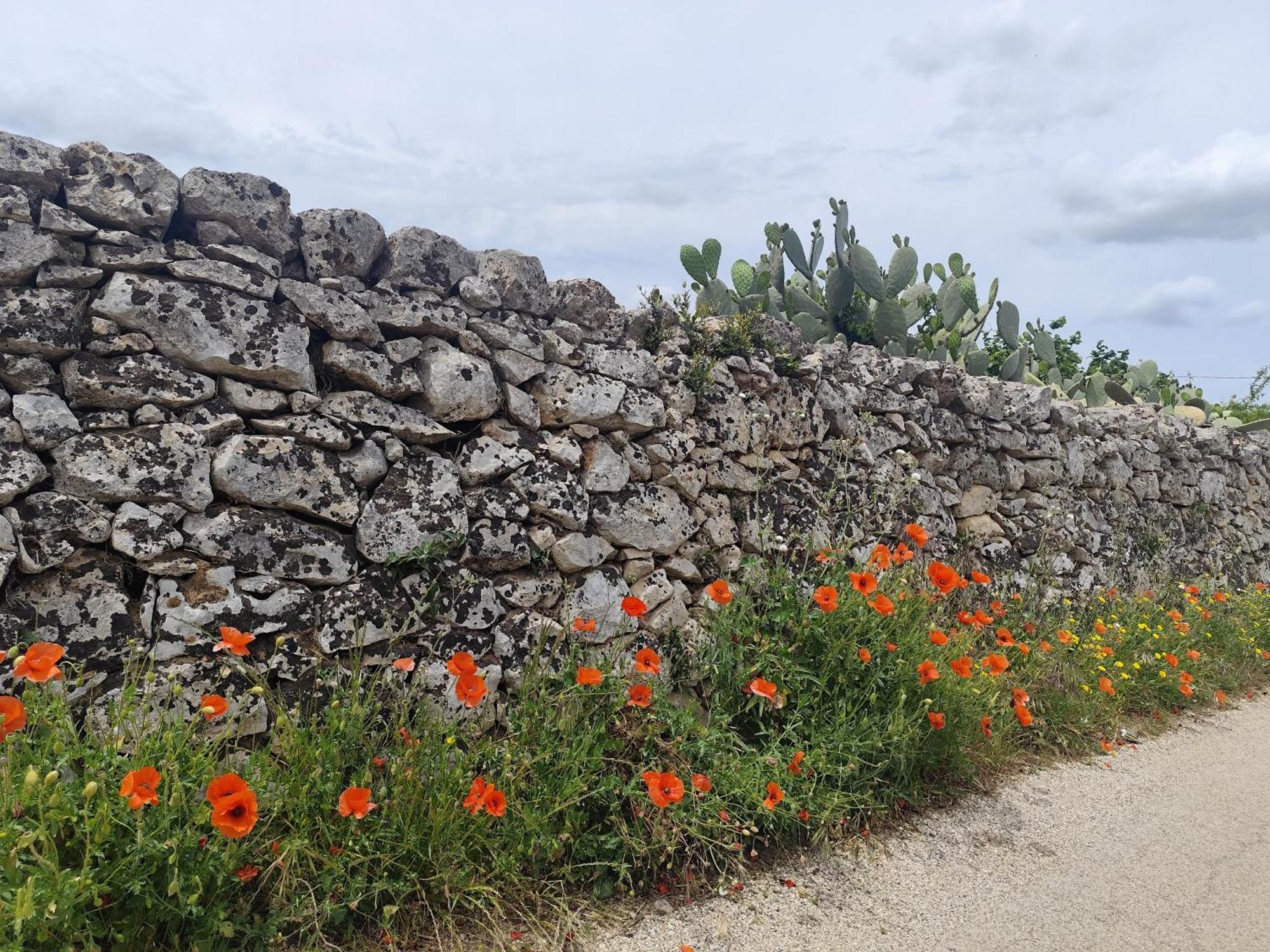 Casa Mirabilis 44 Villa Ostuni Bagian luar foto